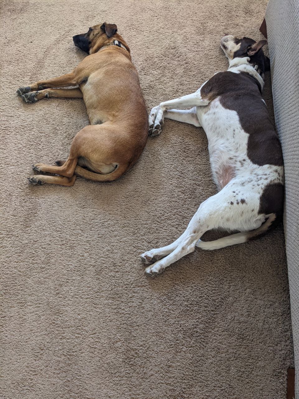 Greg smiling on hillside