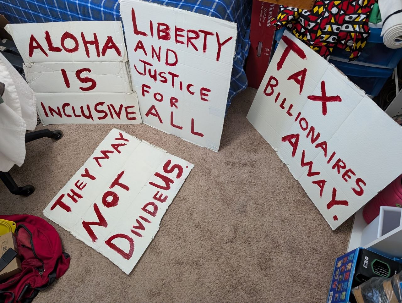 Hand-painted protest signs laid out